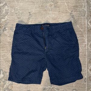American eagle Men's Navy Shorts